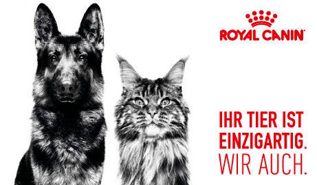Bestellen Sie bei uns das Futter von Royal Canin